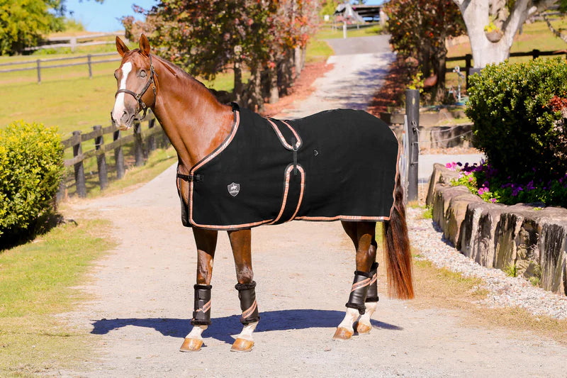 Kersey Wool Rug Black with Metallic Rose Gold Trims - Million Dollar Store Framework