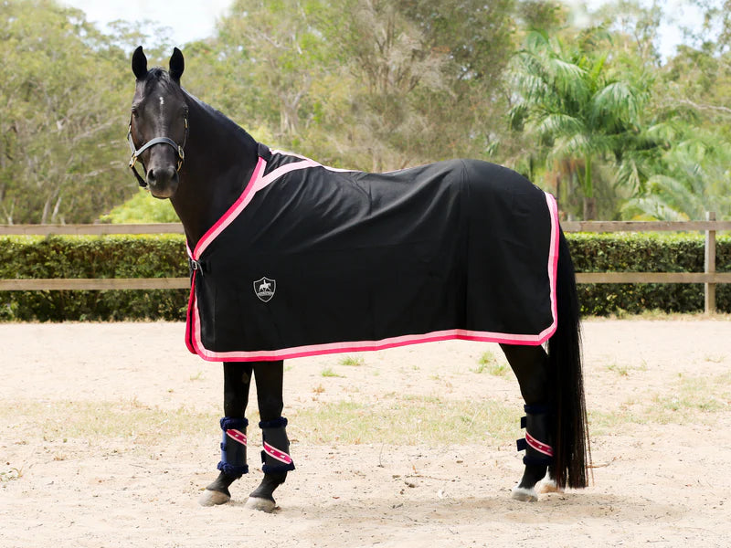 Black Show Rug with Double Pink Trims - Million Dollar Store Framework