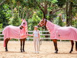 Flag Hood Combo - Blush Pink w White & Blush Pink Trim - New Summer Design - Million Dollar Store Framework