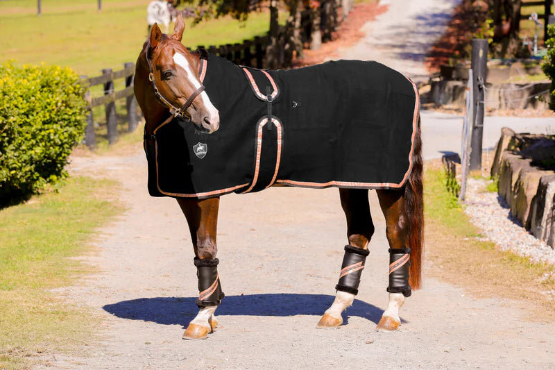 Kersey Wool Rug Black with Metallic Rose Gold Trims - Million Dollar Store Framework