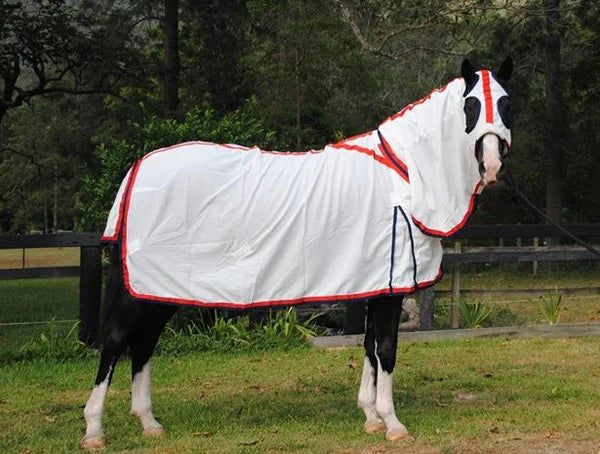 Flag Hood Combo - Red & Navy - Million Dollar Store Framework