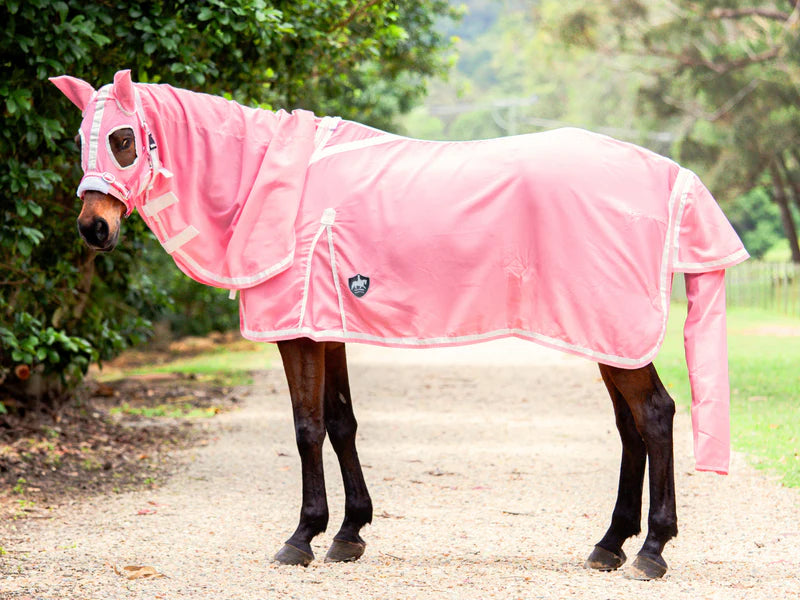 Flag Hood Combo - Blush Pink w White & Blush Pink Trim - New Summer Design - Million Dollar Store Framework