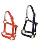Miniature Pony PVC Halter - Assorted Colours - Million Dollar Store Framework